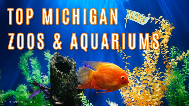 Michigan zoos and aquariums